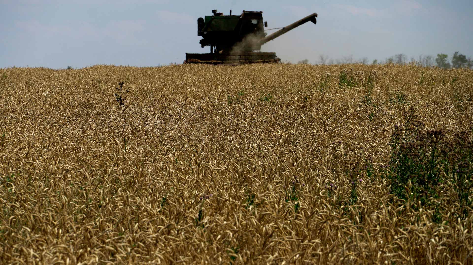 Image for the title: First shipment of Ukrainian grain has left Odessa: Turkey 