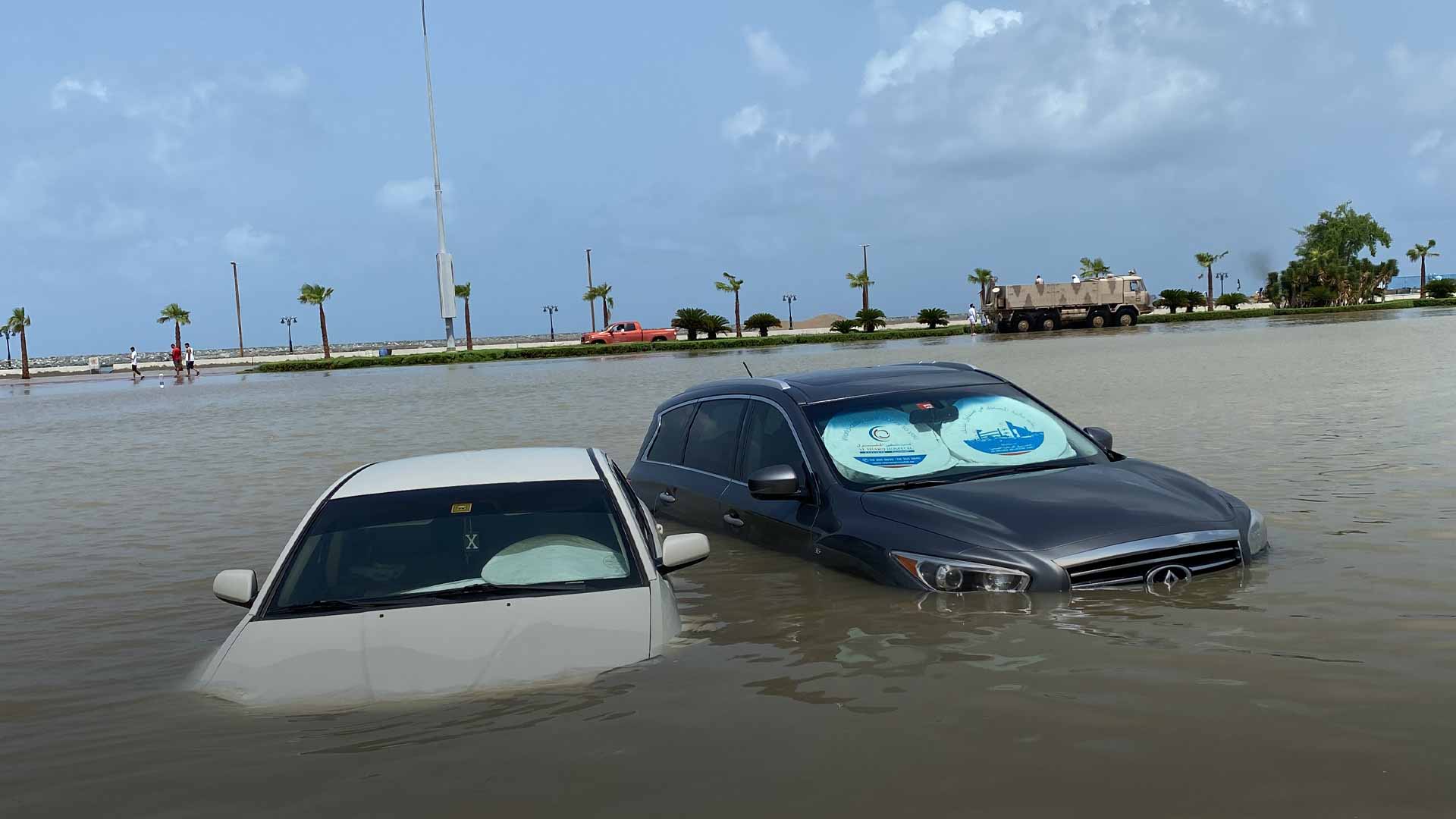 صورة بعنوان: بين فكي "الفهد".. 