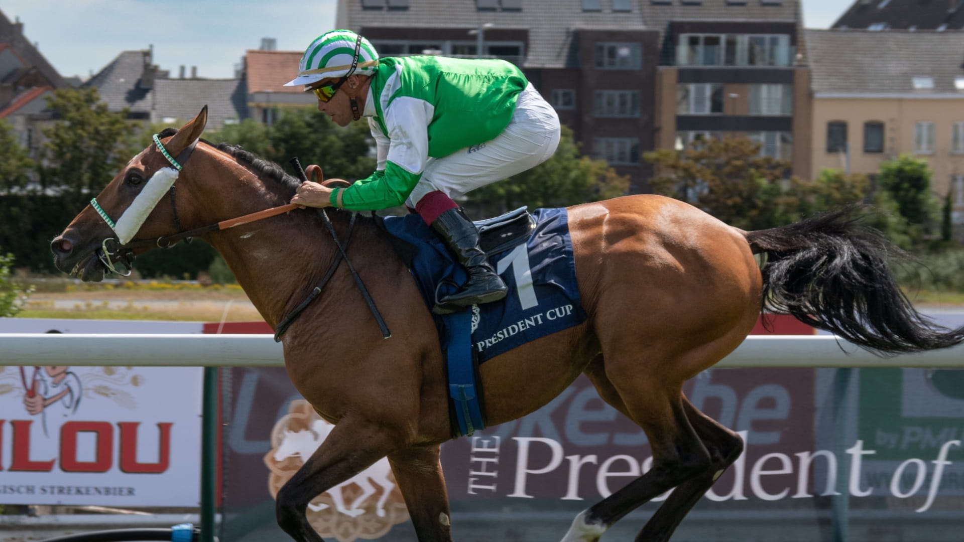 صورة بعنوان: الجواد "جارف" يتوج بلقب كأس رئيس الدولة للخيول العربية في بلجيكا  