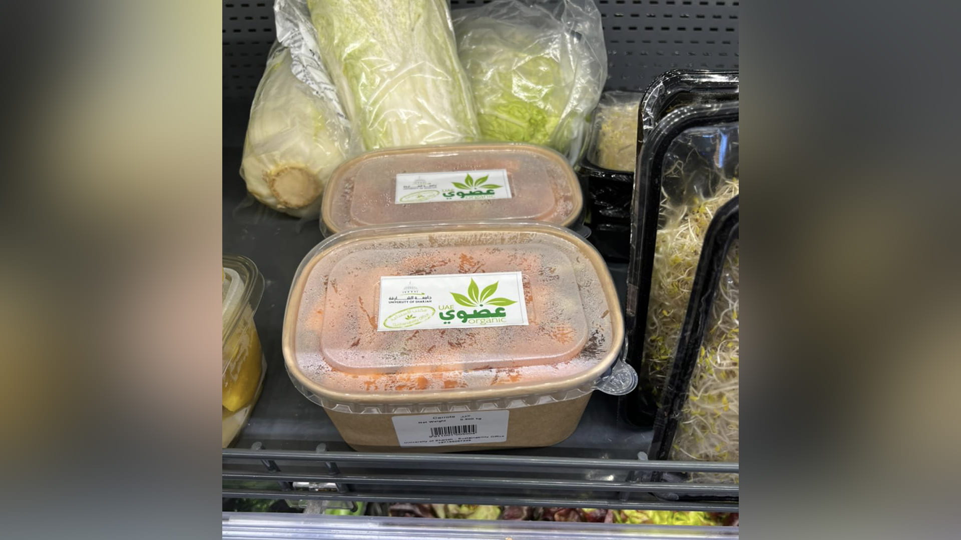 صورة بعنوان: جامعة الشارقة تعرض منتجاتها الغذائية العضوية في السوق المحلي 