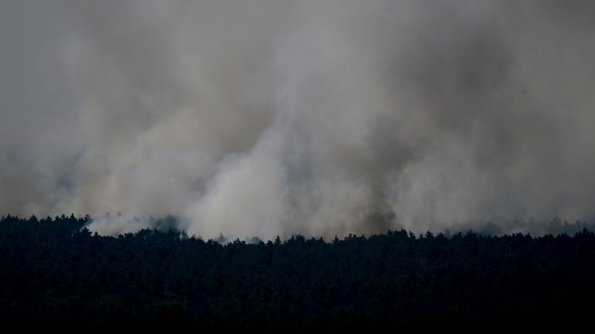 Image for the title: Fire in Berlin forest after blast in munitions store 