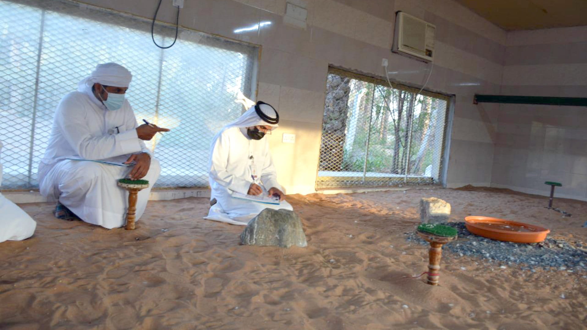 صورة بعنوان: نادي الشارقة للصقارين يُطلق مسابقة المقيض 15 أغسطس 