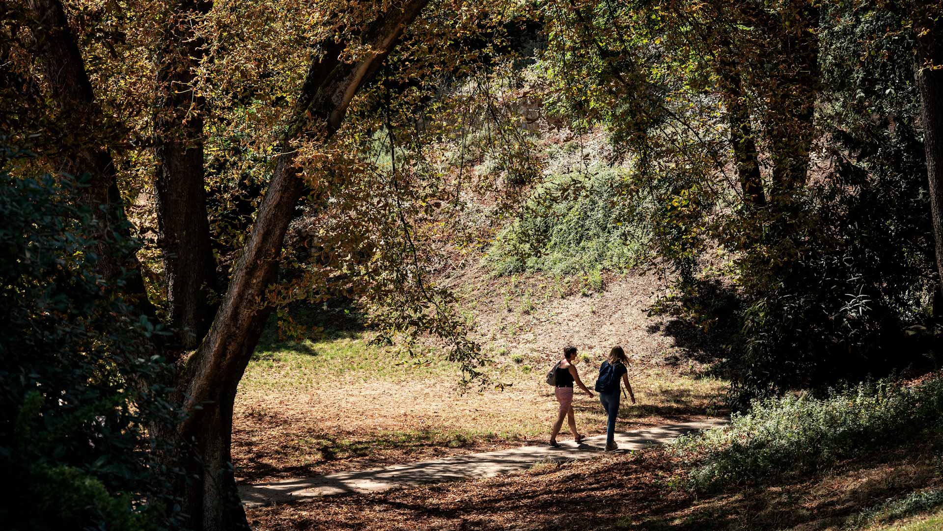 صورة بعنوان: موجة حر جديدة تخنق فرنسا وإسبانيا 