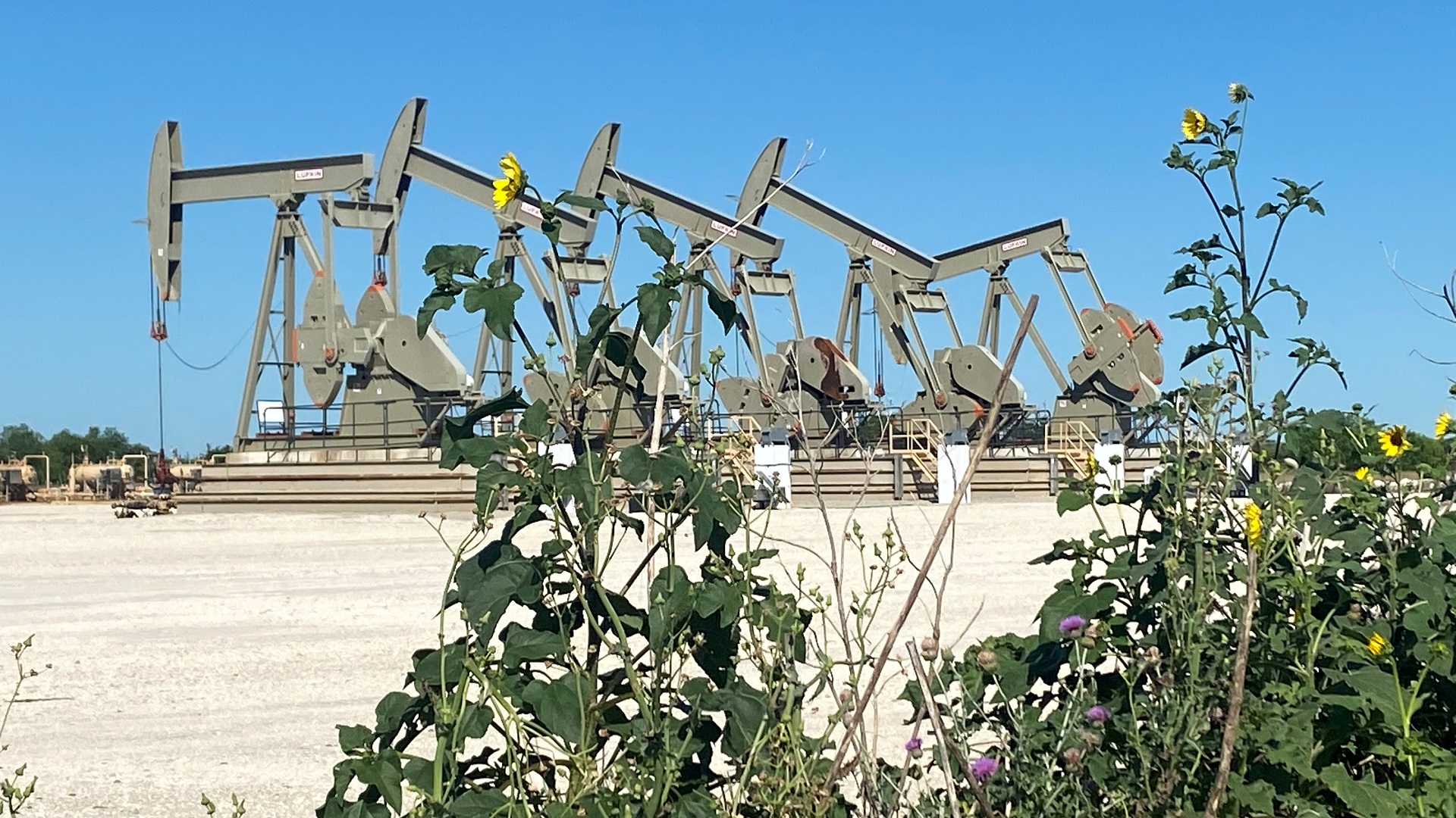 صورة بعنوان: أسعار النفط ترتفع من أدنى مستوياتها منذ أشهر 