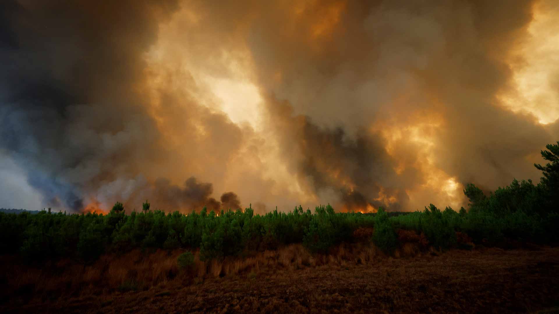 صورة بعنوان: فرنسا تكافح حريق غابات ضخماً بالقرب من بوردو 
