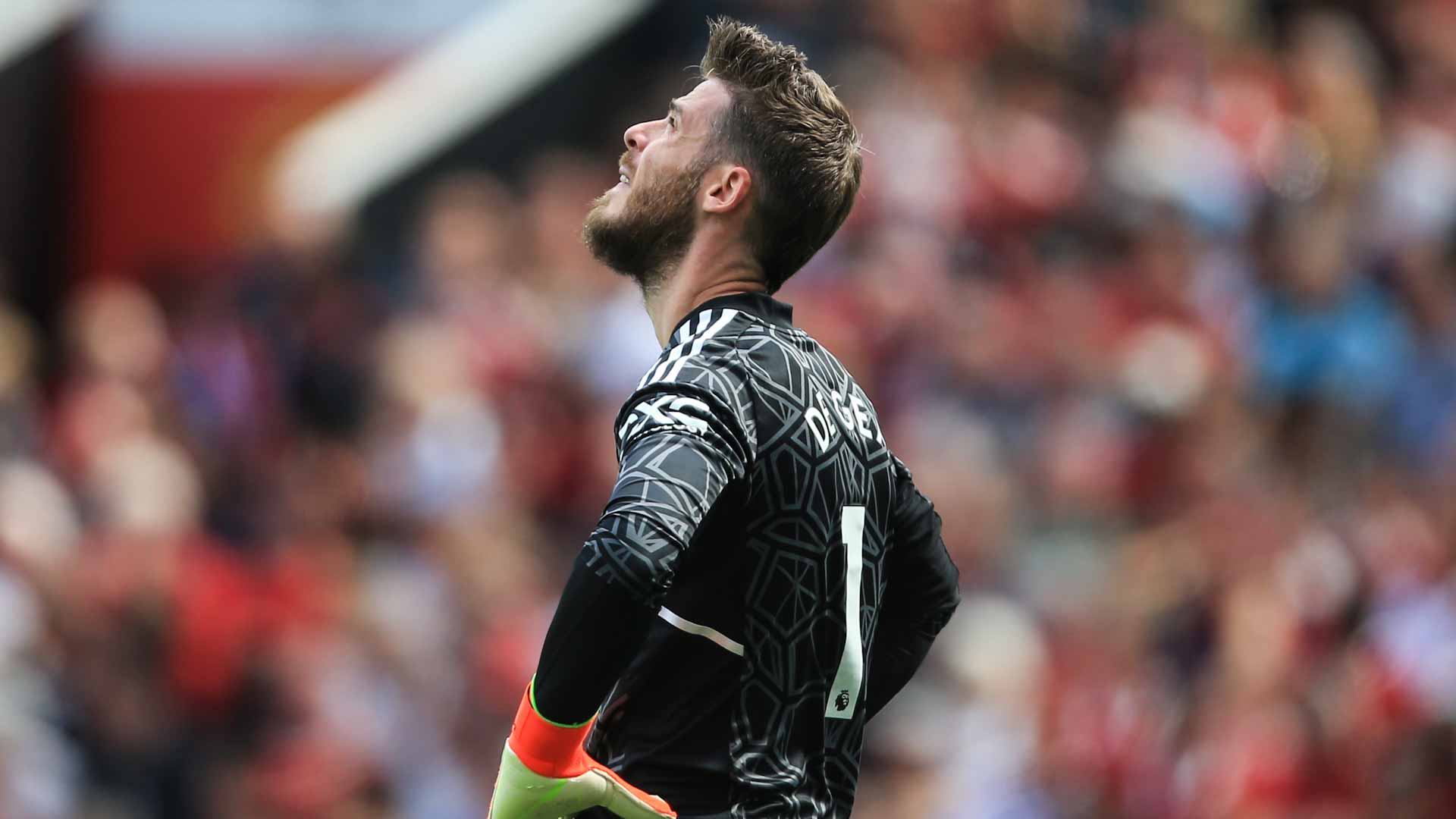 صورة بعنوان: الحارس دي خيا يتعهد بإعادة مانشستر يونايتد للطريق الصحيح 