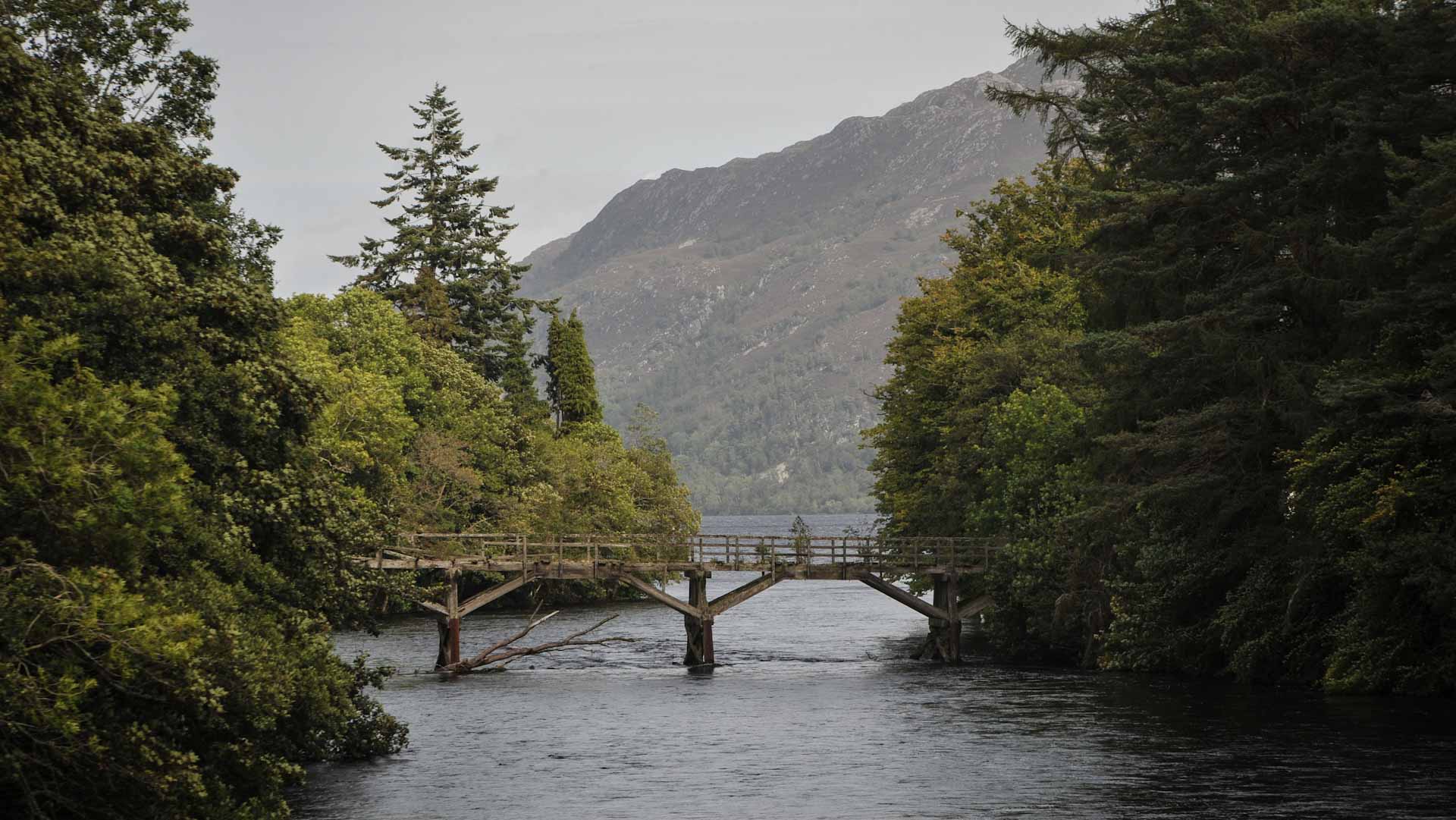 Image for the title: Norwegian wooden bridge collapses, 2 vehicles fall into river 