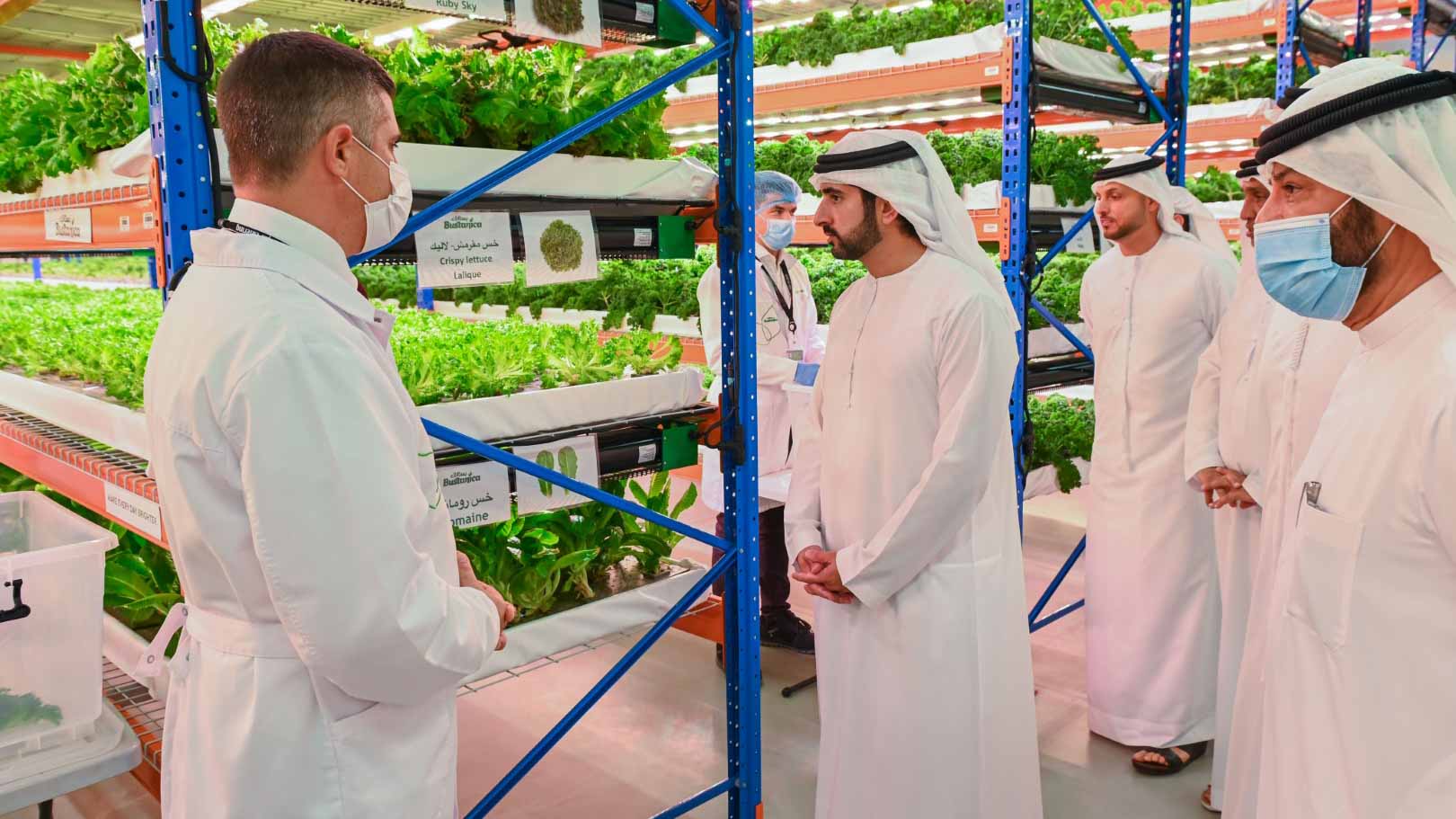 Image for the title: Dubai CP tours Bustanica, world’s largest vertical farm in Dubai 
