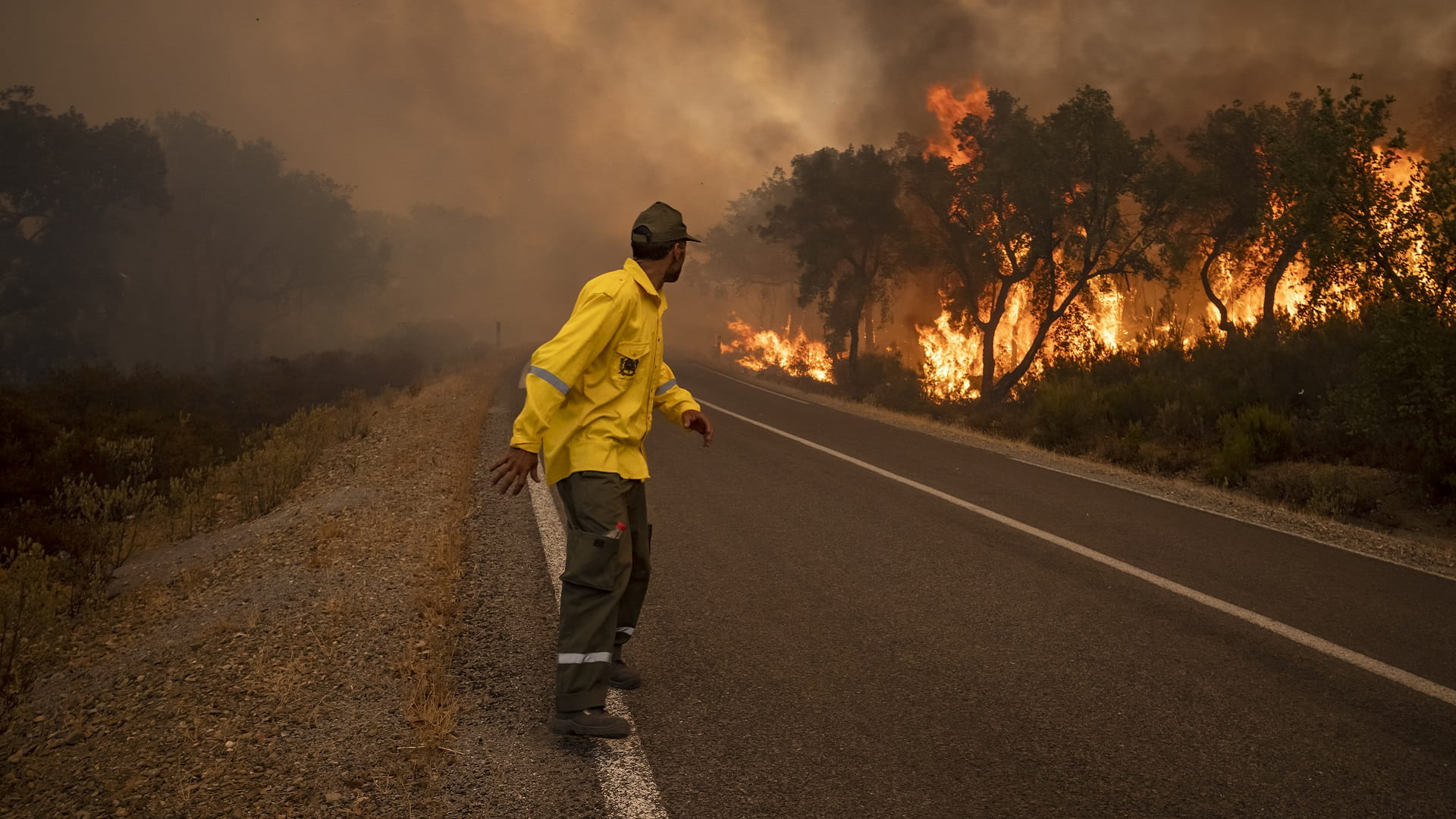 Image for the title: Three firefighters die in Morocco forest blaze 