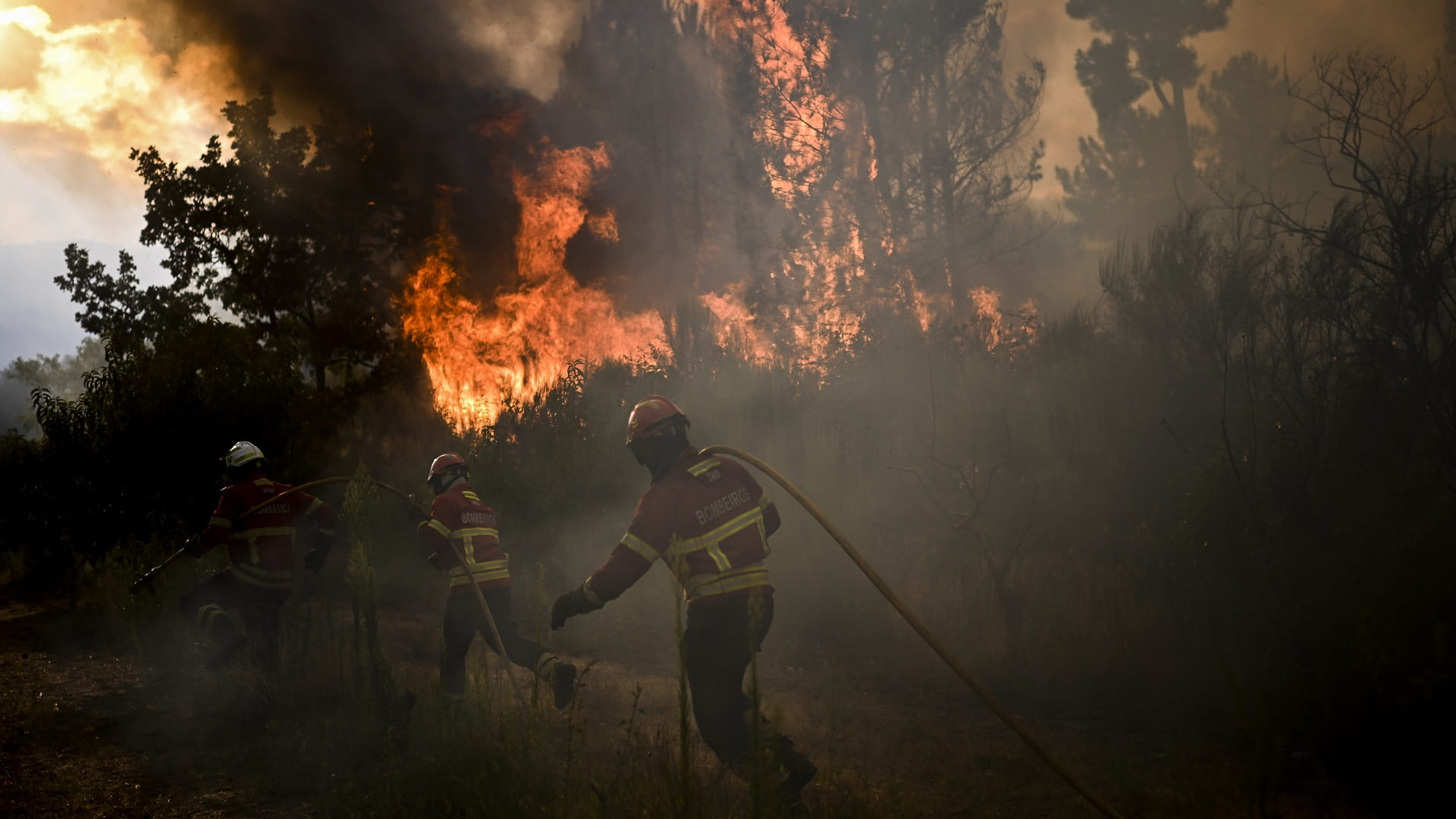 صورة بعنوان: البرتغال تواصل التعبئة للسيطرة على حريق في منتزه طبيعي 