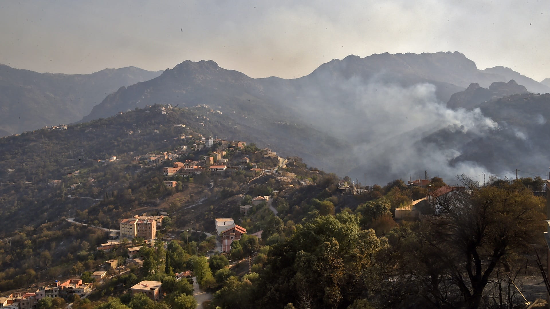 صورة بعنوان: حرائق الغابات تتسبب بوفاة 26 وإصابة العشرات في الجزائر 