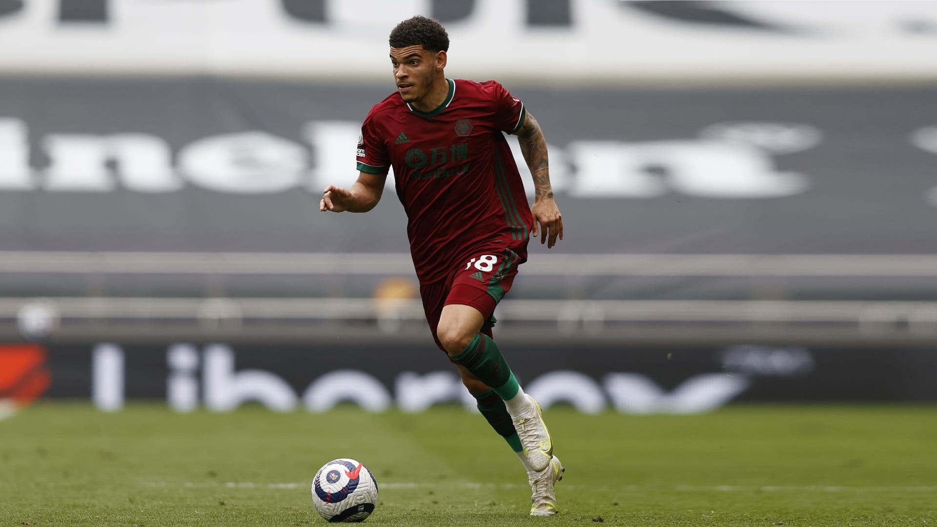 صورة بعنوان: نوتنغهام فورست الإنجليزي يتعاقد مع جيبس وايت من وولفرهامبتون 