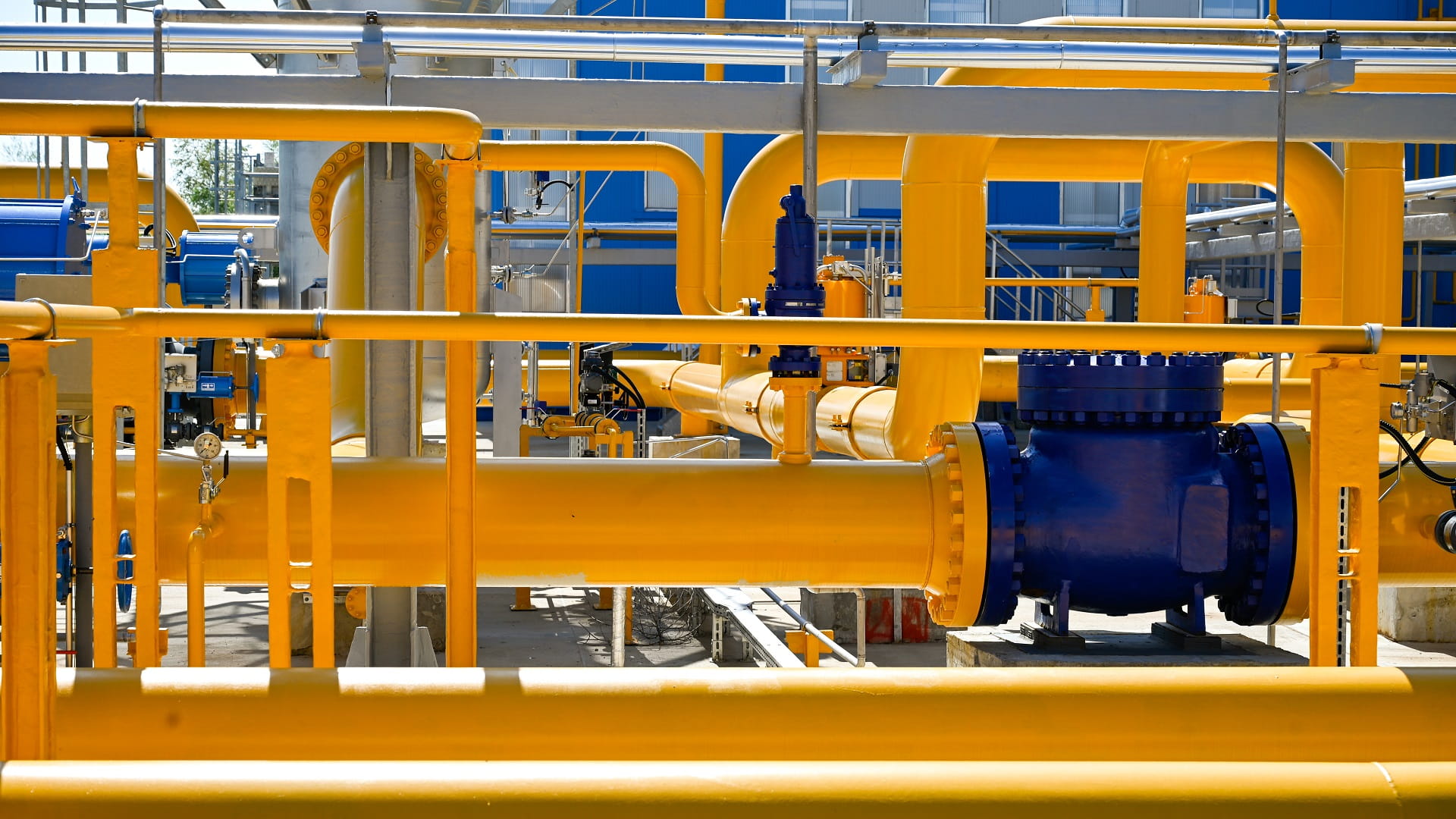 Image for the title: Bulgaria seeks Gazprom talks to resume deliveries 