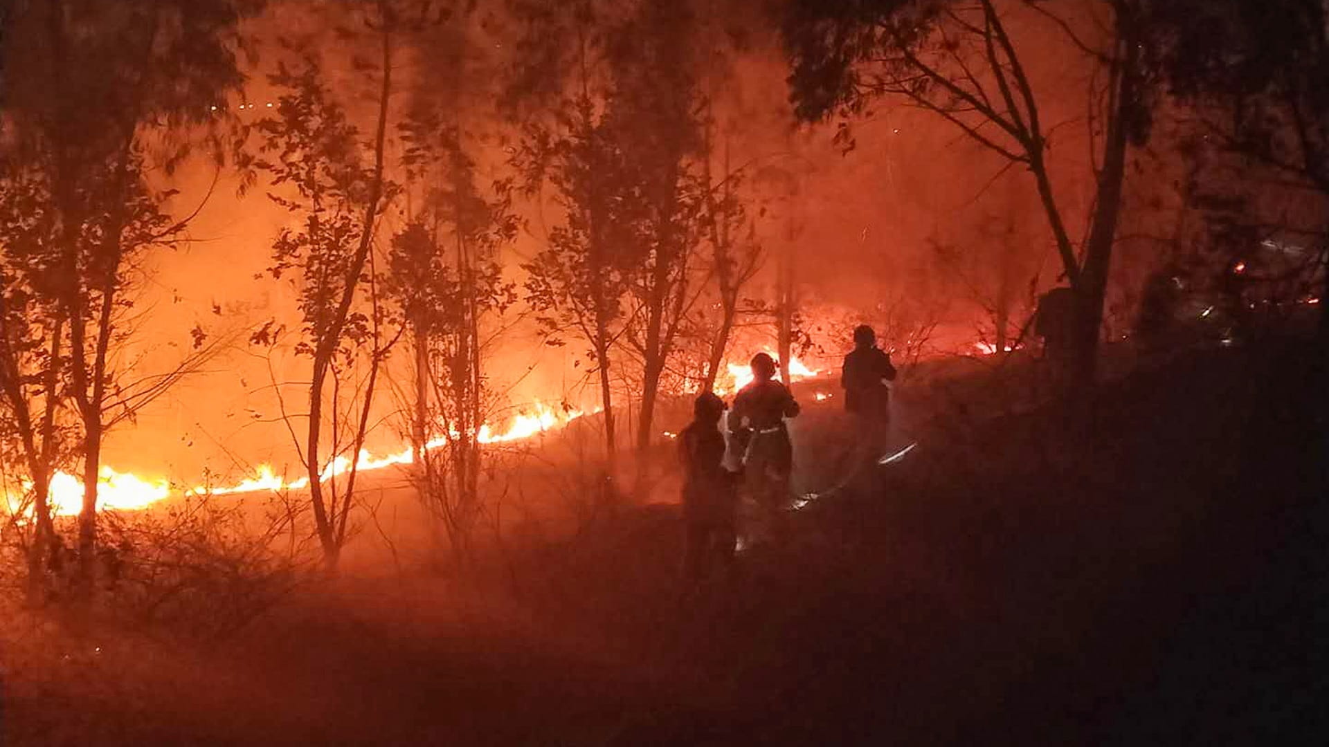 صورة بعنوان: حرائق الغابات تجبر الصين على إجلاء المئات 
