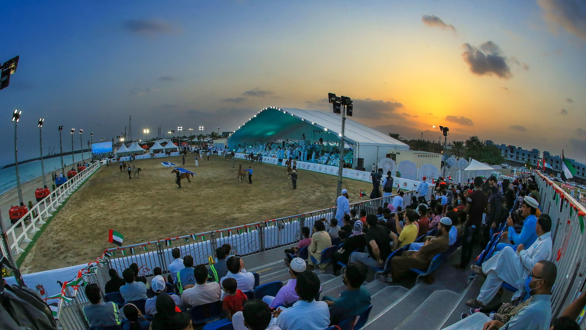 صورة بعنوان: انطلاق فعاليات "مهرجان الشارقة كلباء الأول للفروسية" 