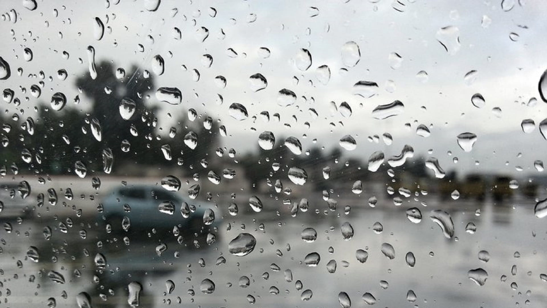 صورة بعنوان: هطول أمطار الخير على أبوظبي وانخفاض ملحوظ بدرجات الحرارة 