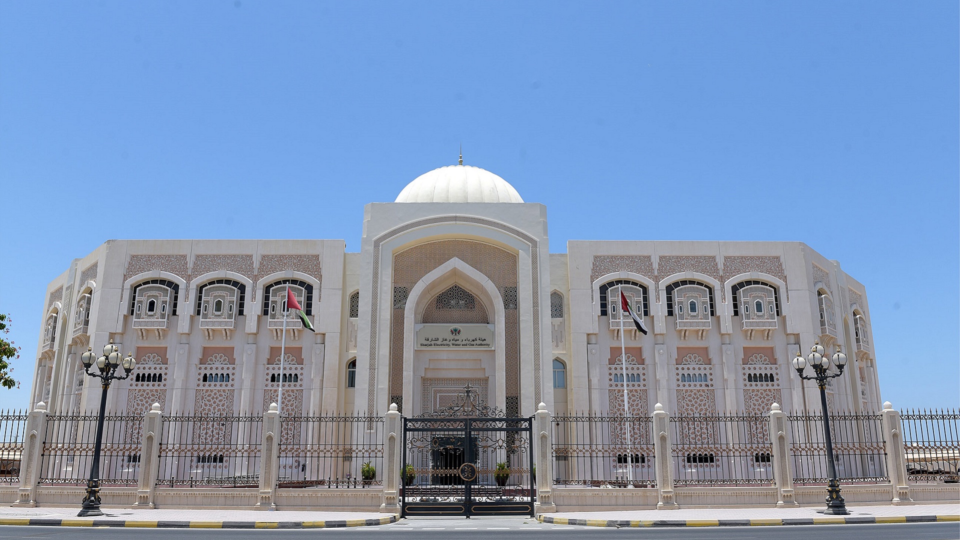 Image for the title: SEWA provides services to support wheat cultivation project 