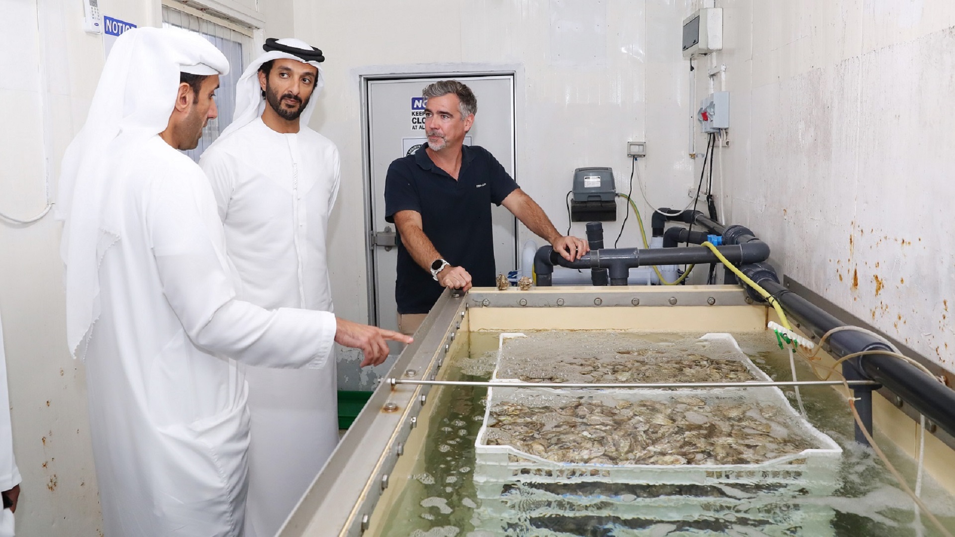 صورة بعنوان: وزير الاقتصاد يطلع على تجربة وخطط مزرعة دبا باي للمحار الابتكارية 