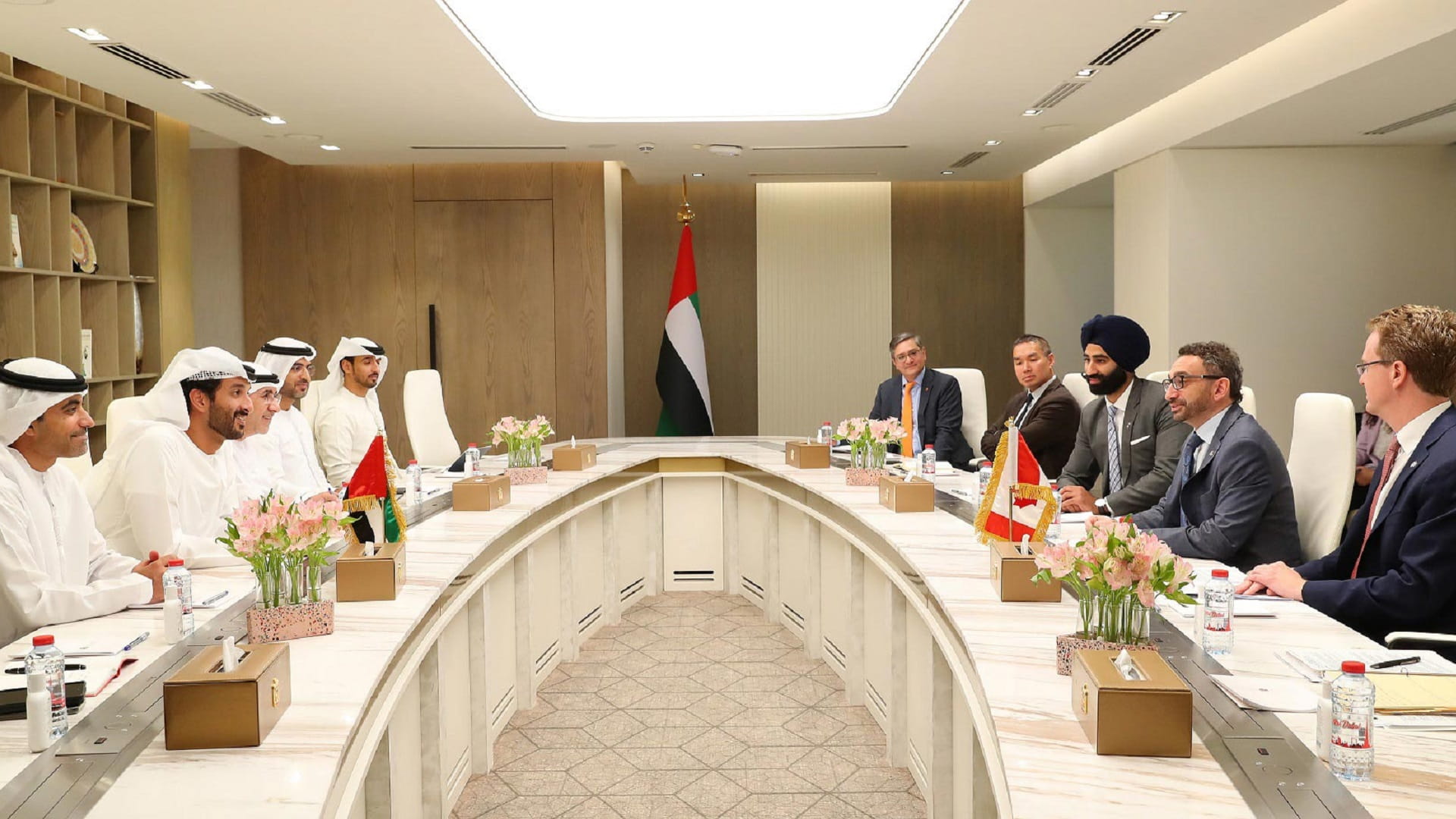 Image for the title: UAE, Canada discuss cooperation in transport sector 