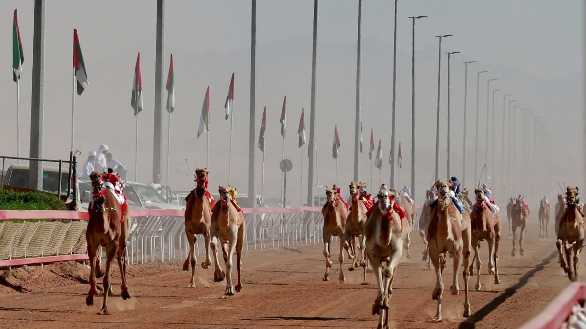 صورة بعنوان: مهرجان محمد بن زايد لسباقات الهجن ومزاينة الإبل ينطلق يناير 2023 