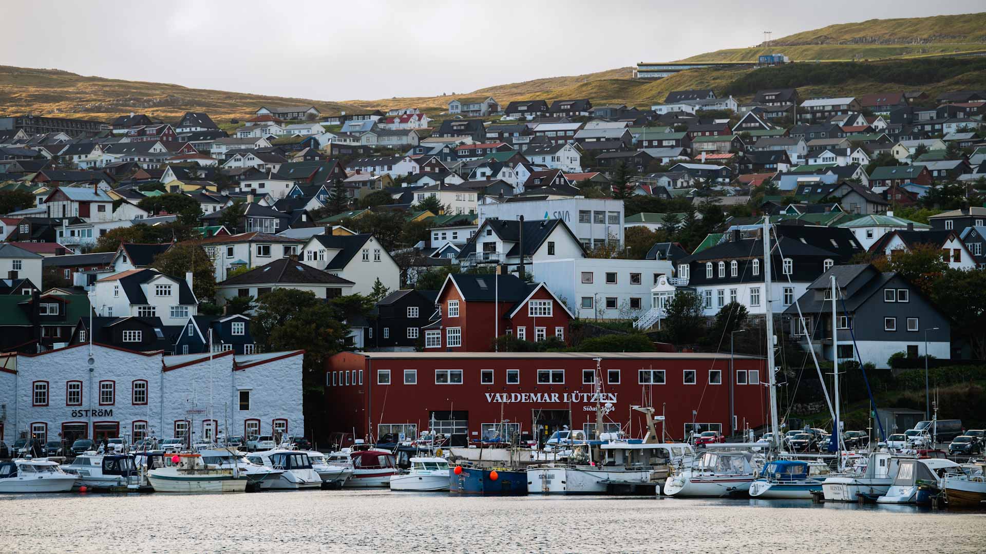 Image for the title: Denmark returns to 'life as we knew it' despite Omicron 