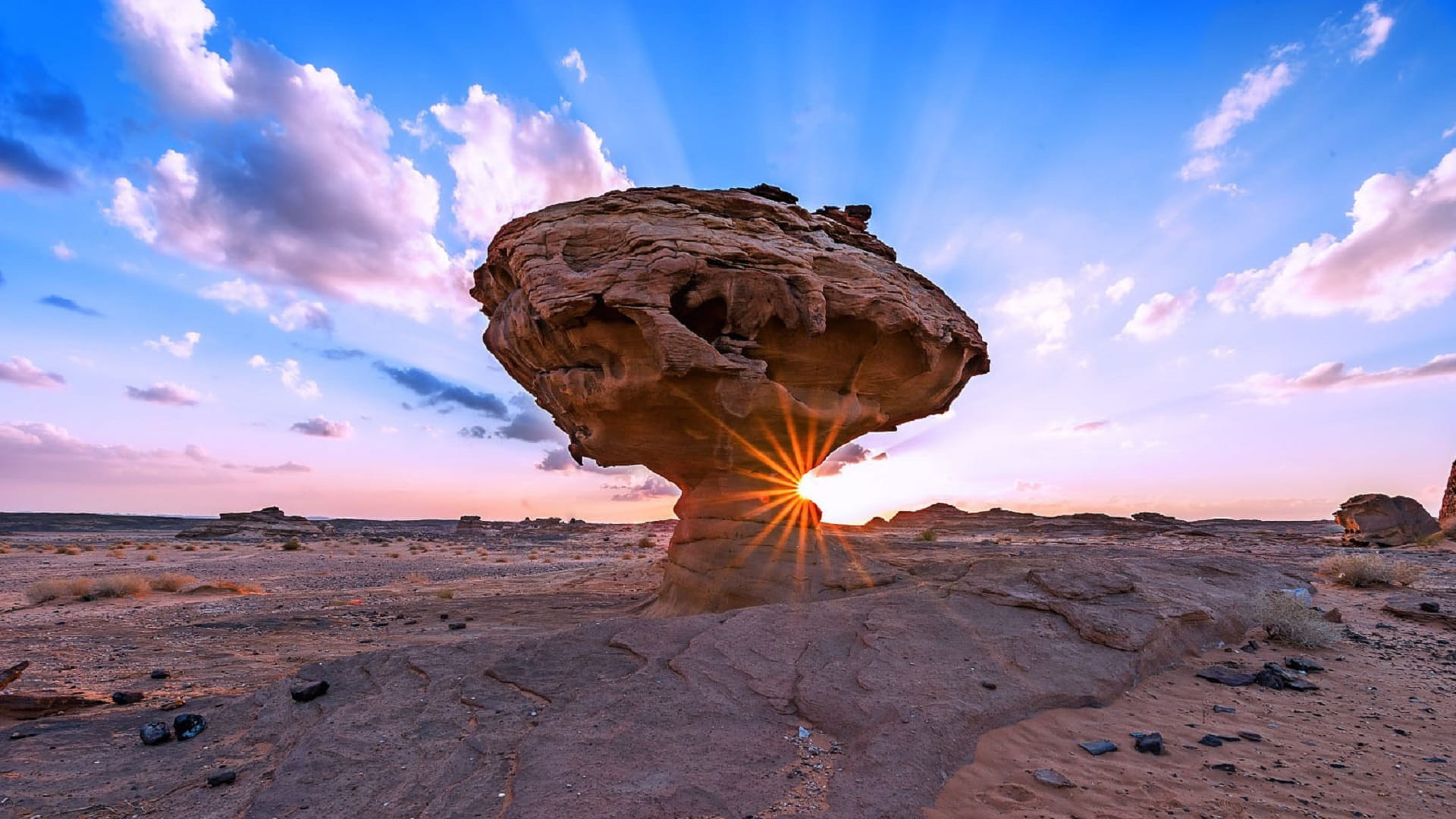 صورة بعنوان: فلاي دبي تضيف العلا إلى شبكتها في السعودية وتستأنف رحلات ينبع 