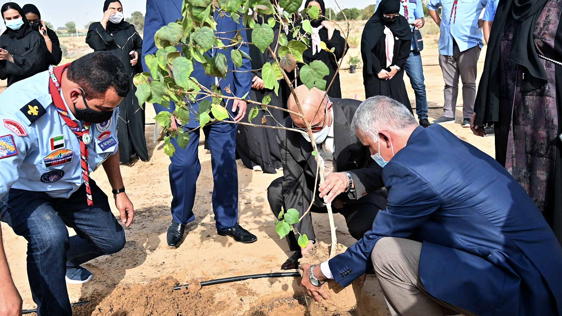 صورة بعنوان: جامعة الشارقة تطلق مبادرة "غرس الخمسون" 