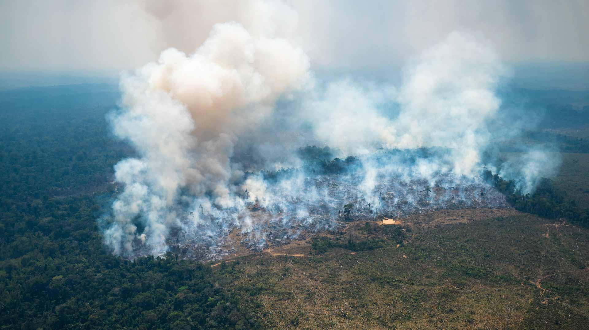 Image for the title: Record heat, forest fires in Colombia's Amazon in January 