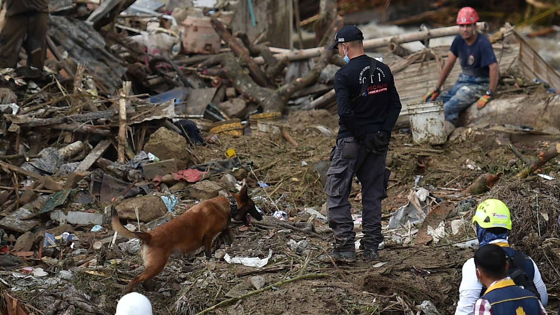 Image for the title: At least 14 dead in Colombia mudslide 