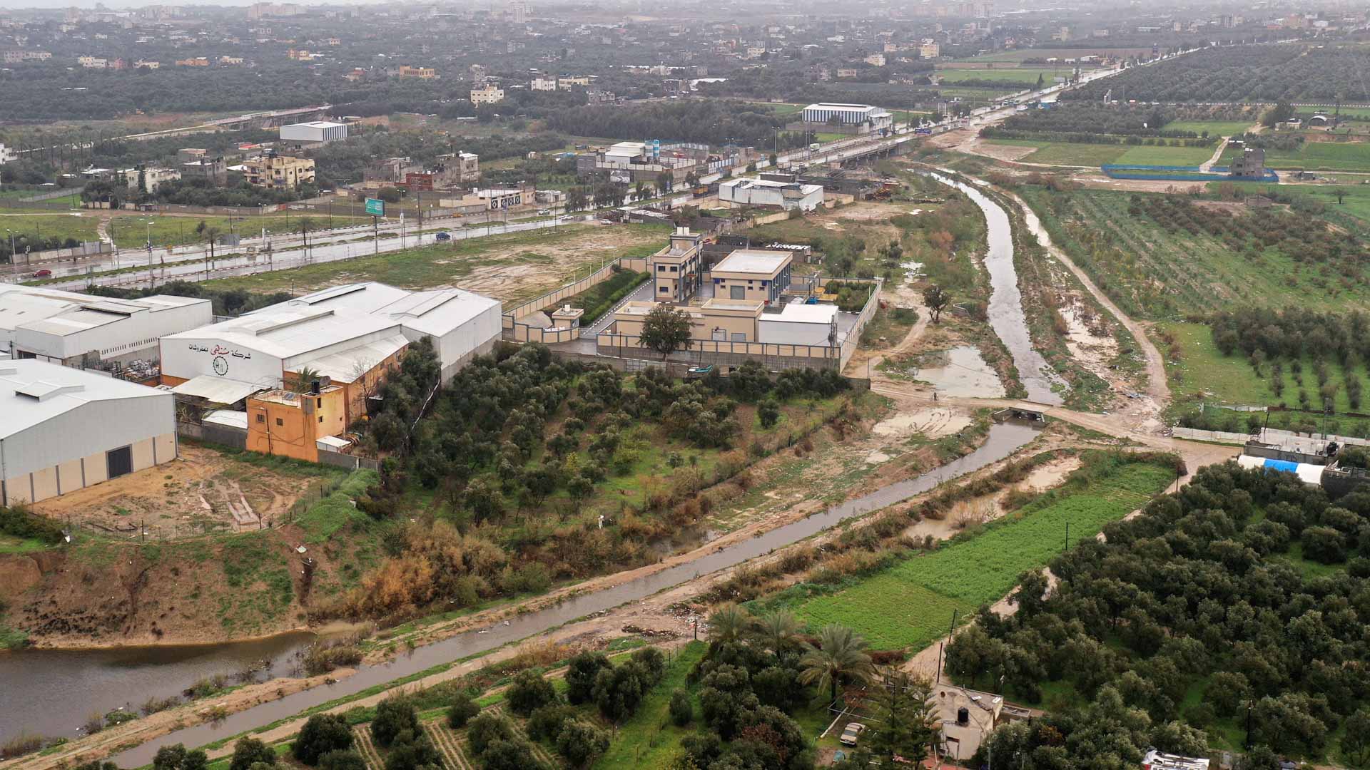 Image for the title: Pollution clean-up aims to create Gaza's first nature reserve 
