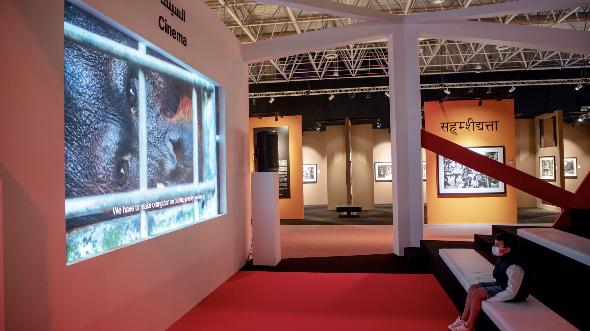 Image for the title: Xposure ignites curiosity about dark side of wildlife tourism 