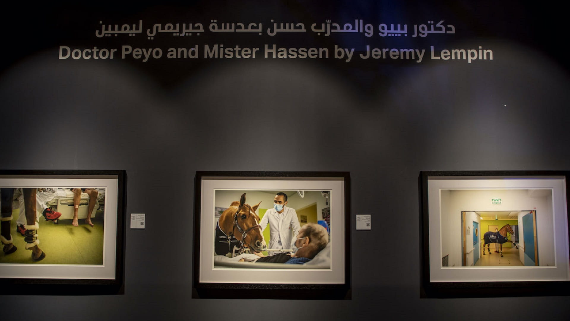 Image for the title: ‘Doctor Peyo’ comforting cancer patients wins hearts at Xposure 