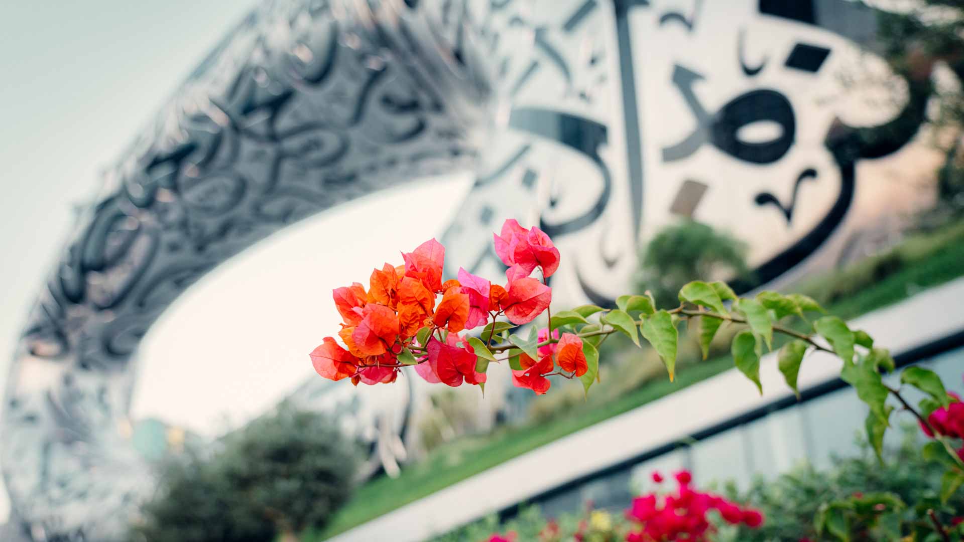 Image for the title: Museum of Future’s Garden: 100 plant species reflecting UAE’s path 