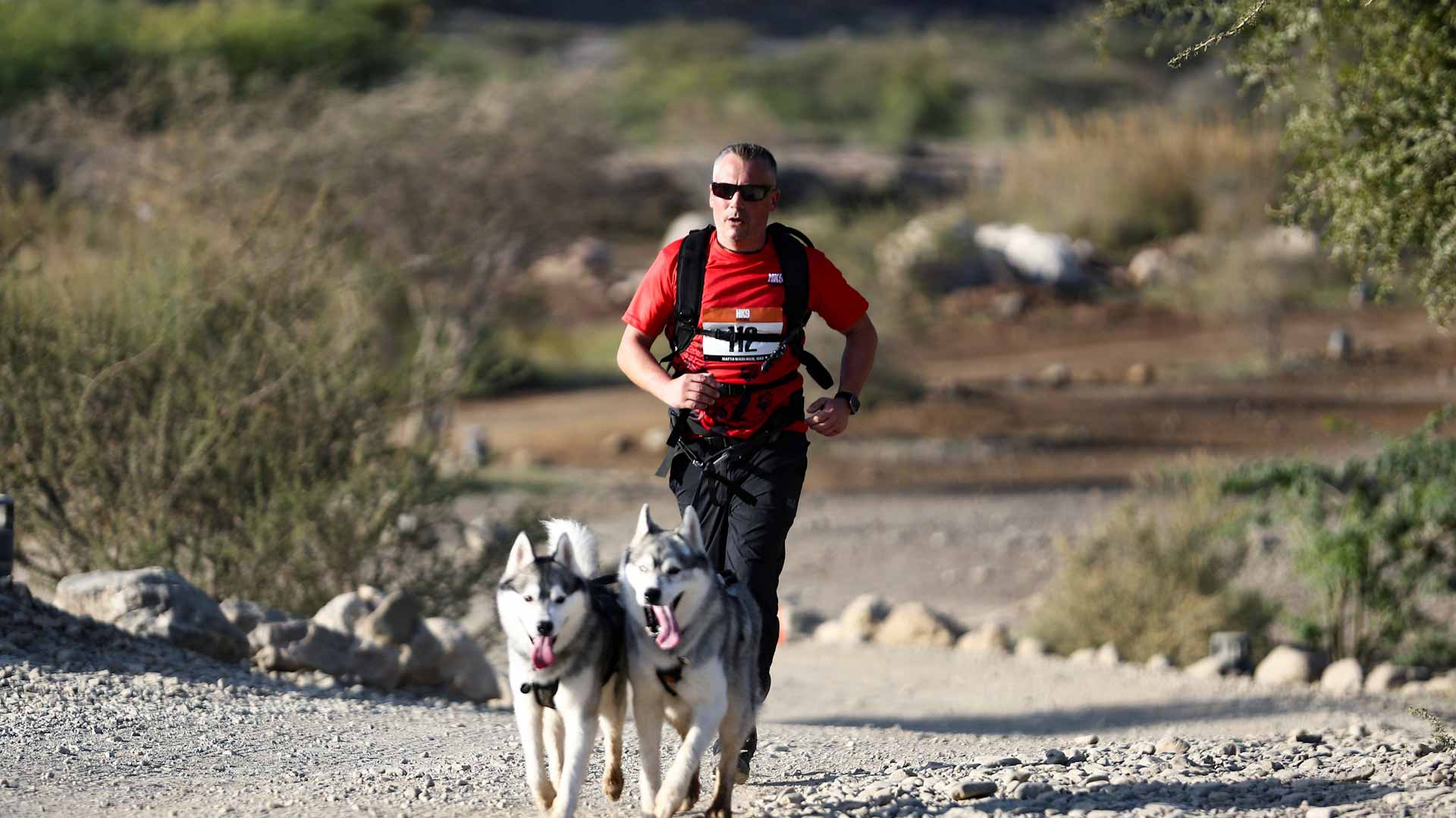 Image for the title: Run and hike with your dog in UAE's mountainous desert 