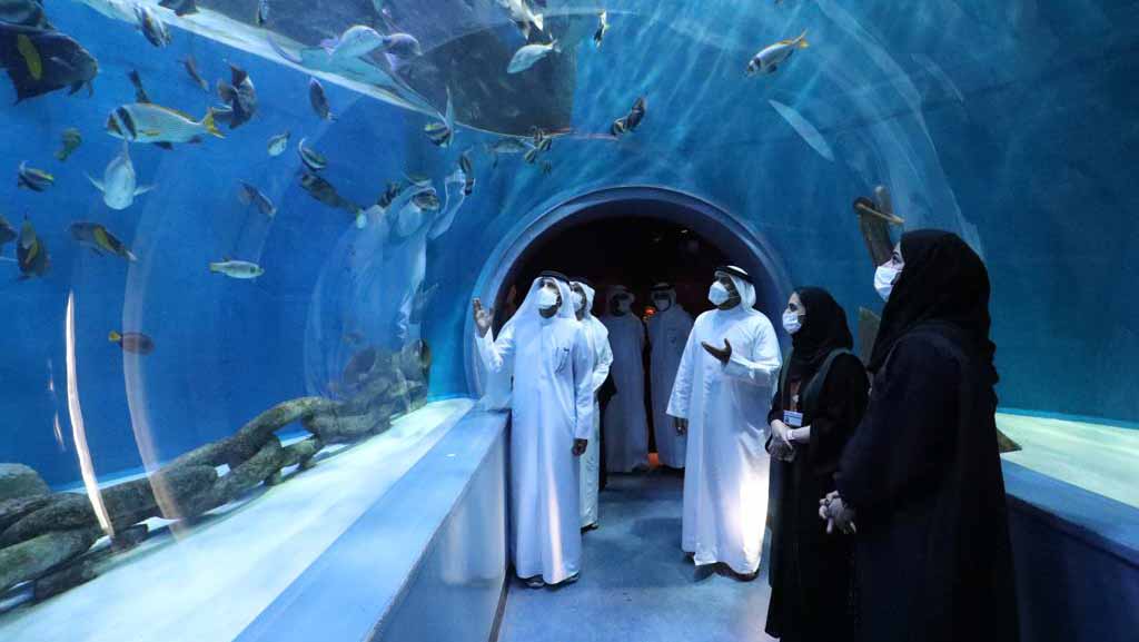 صورة بعنوان: مجلس ضاحية الخالدية يتعرف على مرافق مربى الأحياء المائية  