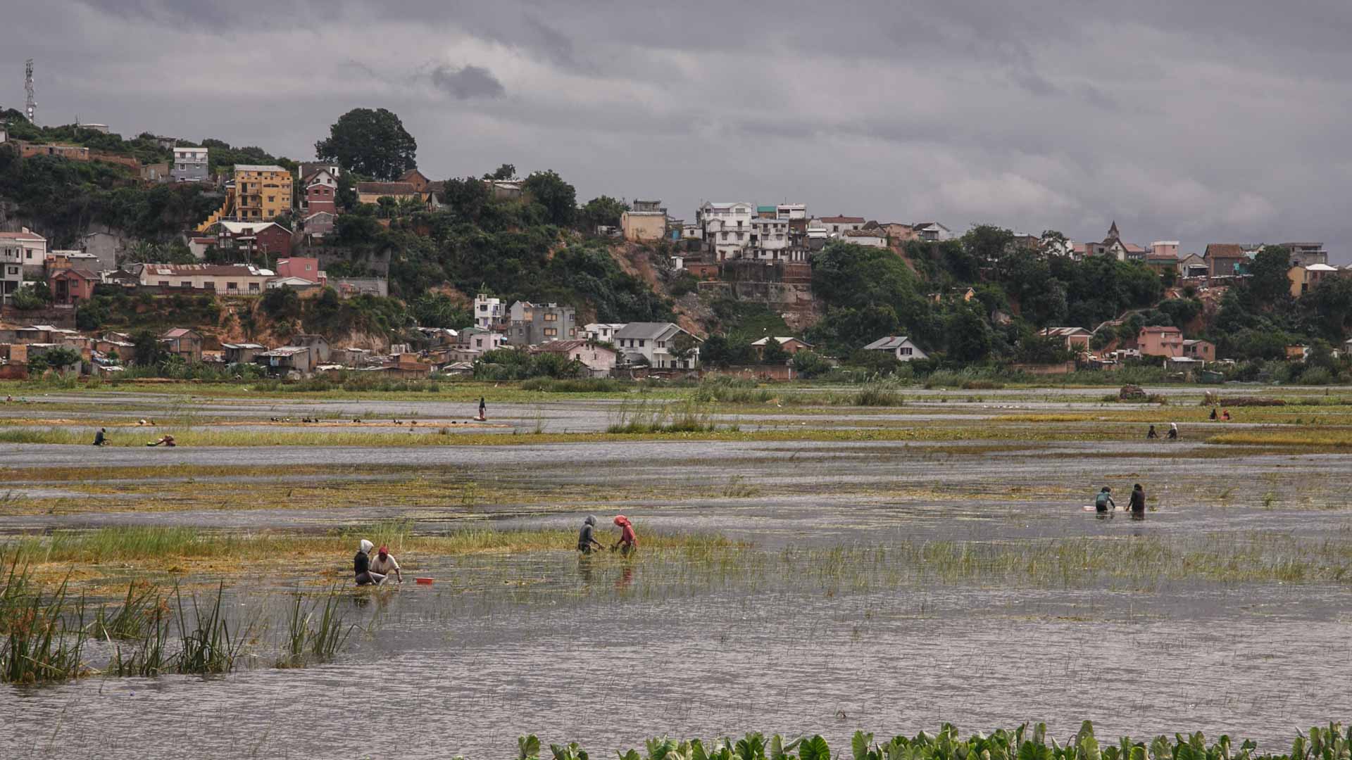 Image for the title: Four children among six dead in DR Congo deluge 