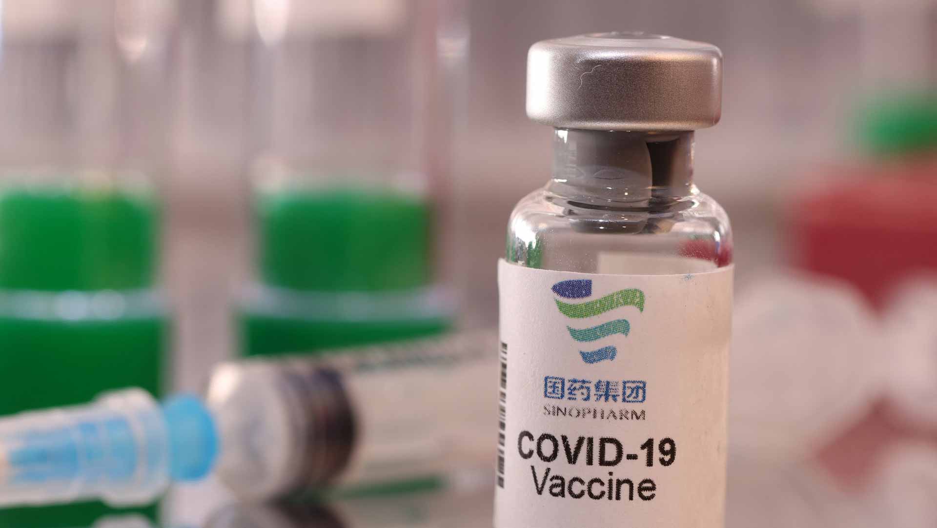 صورة بعنوان: الأجسام المضادة الناتجة عن جرعة "سينوفارم"المعززة تختفي بعد 6 أشهر 