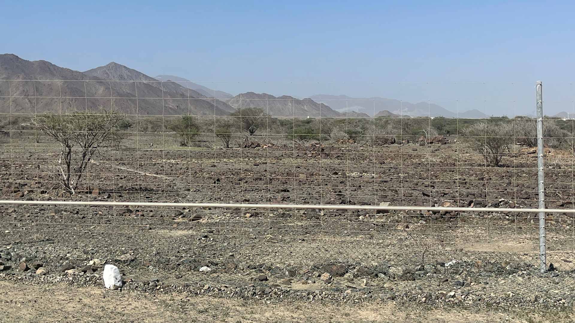 Image for the title: SDPW  installs fence at Al Hafiya Reserve in Kalba 