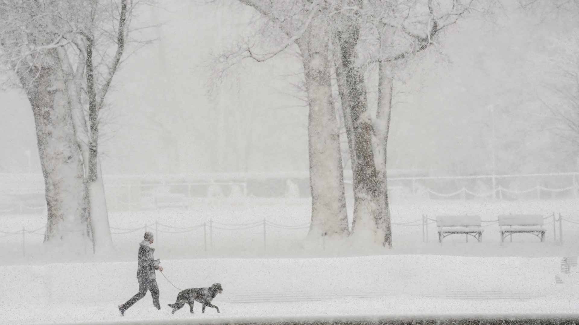 صورة بعنوان: بعد الأعياد..عاصفة ثلجية تضرب واشنطن وتكسو معالمها بالوشاح الأبيض  
