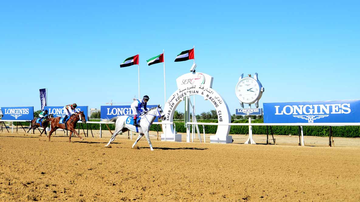 Image for the title: Mansour bin Zayed's Cup begins with 89 horses 