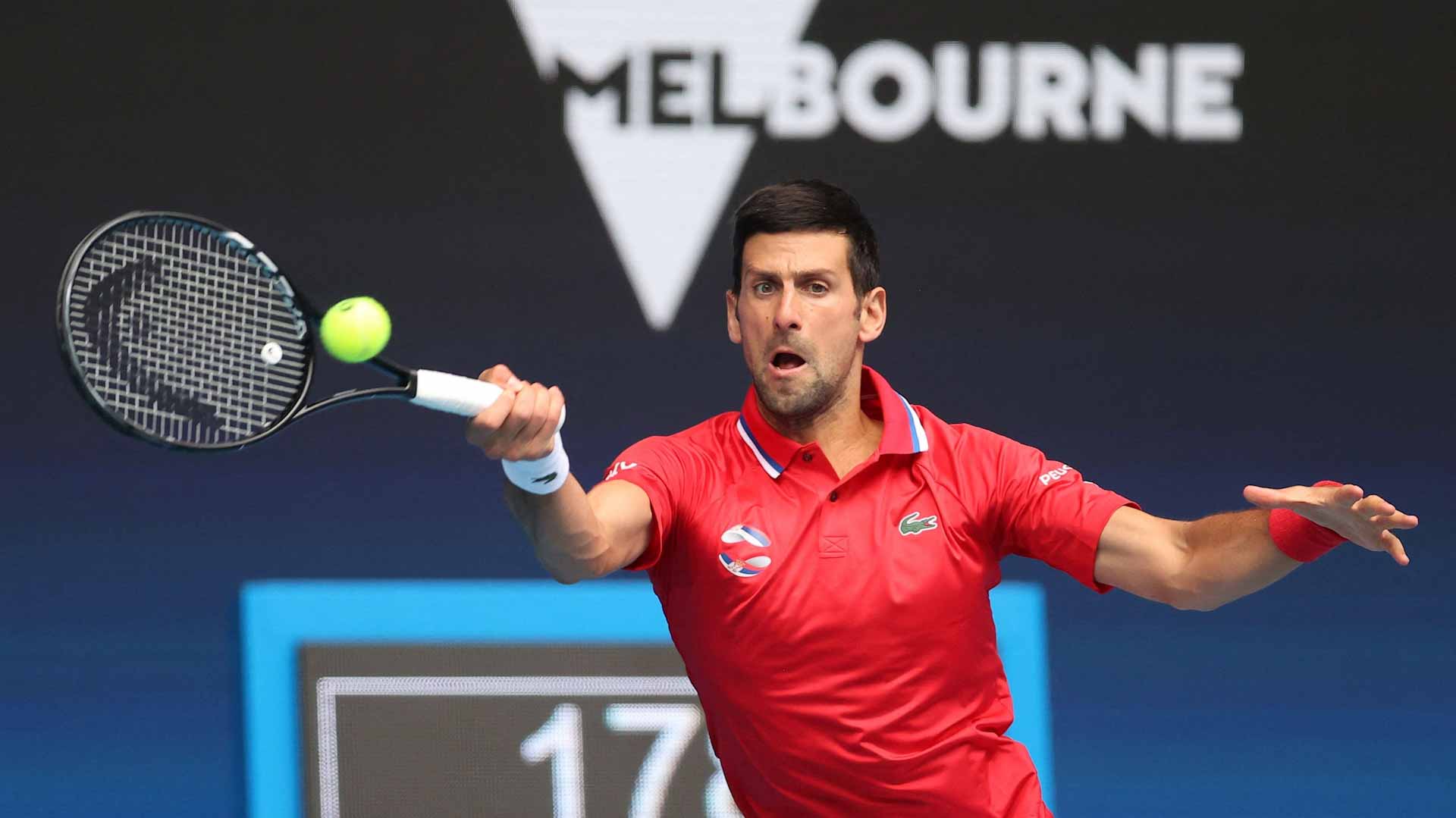 صورة بعنوان: السلطات الأسترالية تعلن إطلاق سراح لاعب التنس ديوكوفيتش 