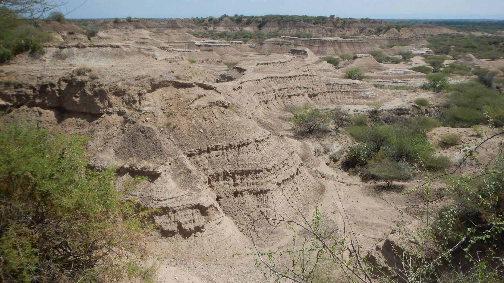 Image for the title: One of the oldest human fossils just got older: study 