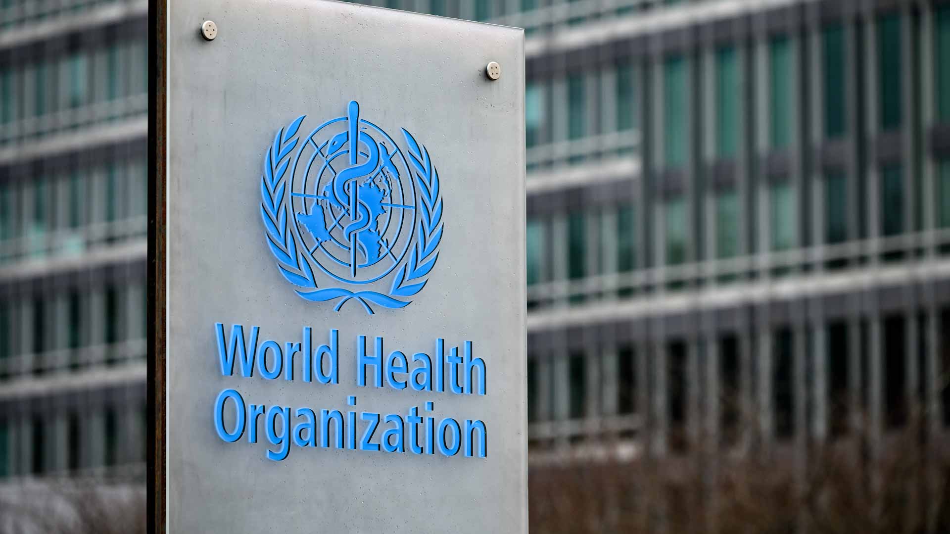 Image for the title: WHO approves two new Covid-19 treatments 