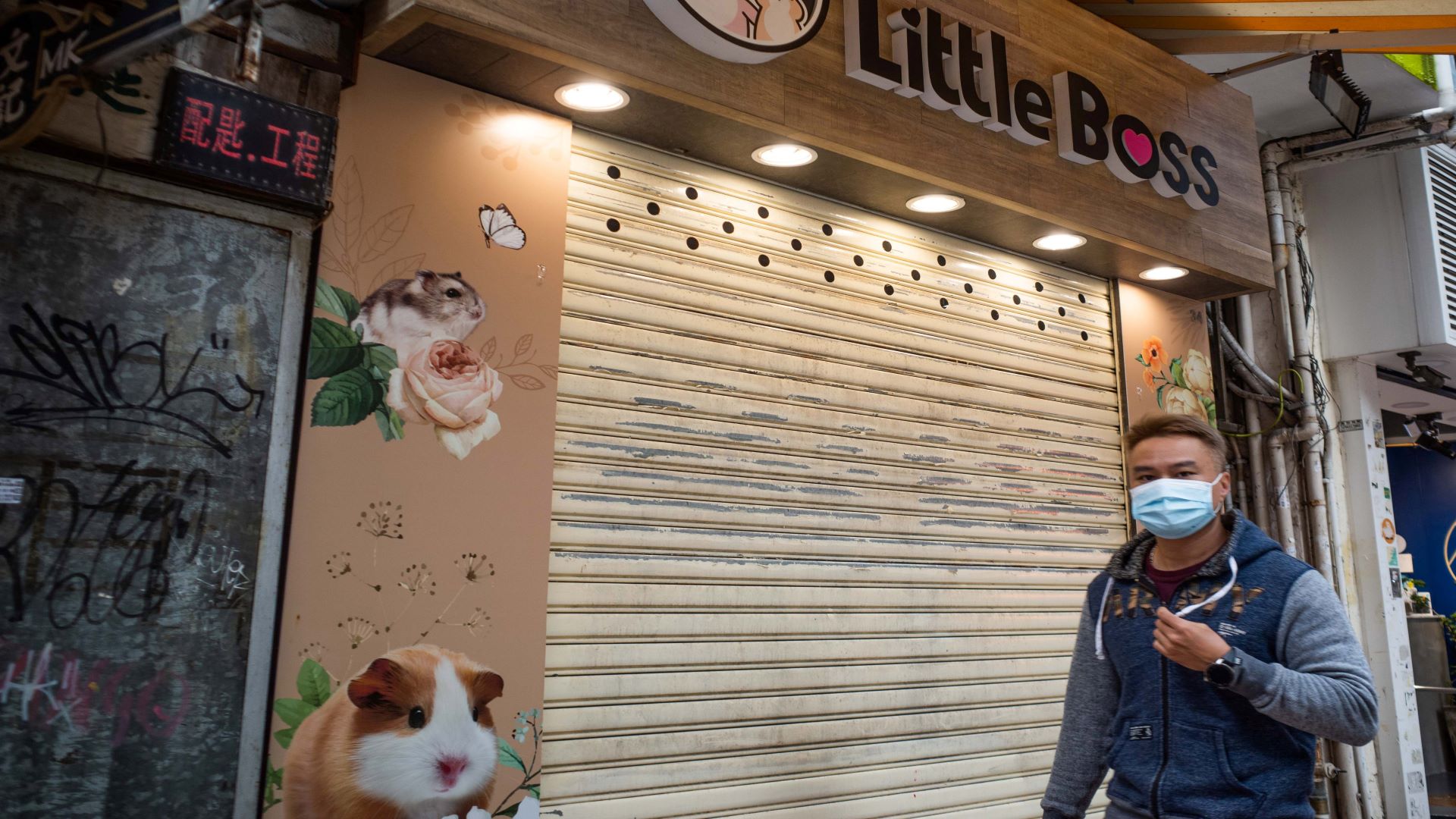 Image for the title: Fury over Hong Kong's mass cull of hamsters and small pets 