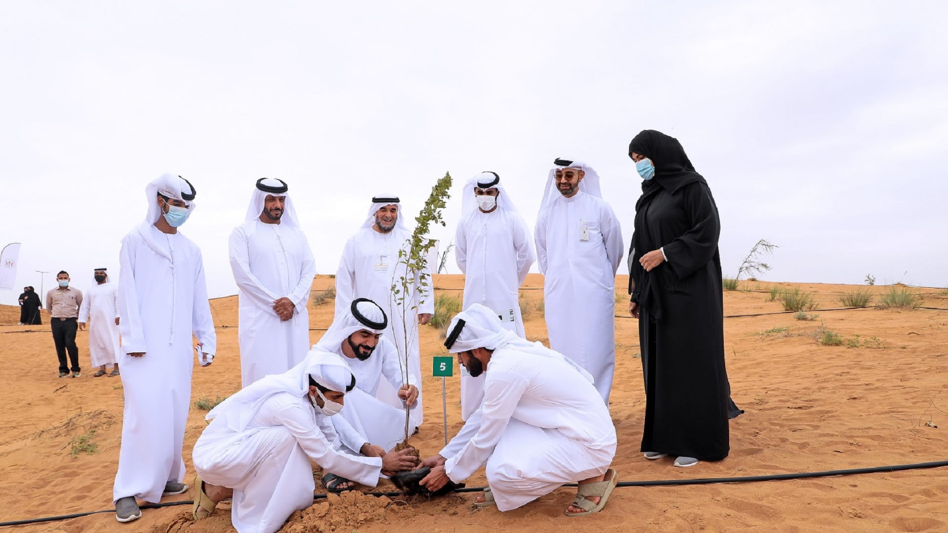 Image for the title: EPAA launches afforestation initiative in Al Muntather Reserve 2 
