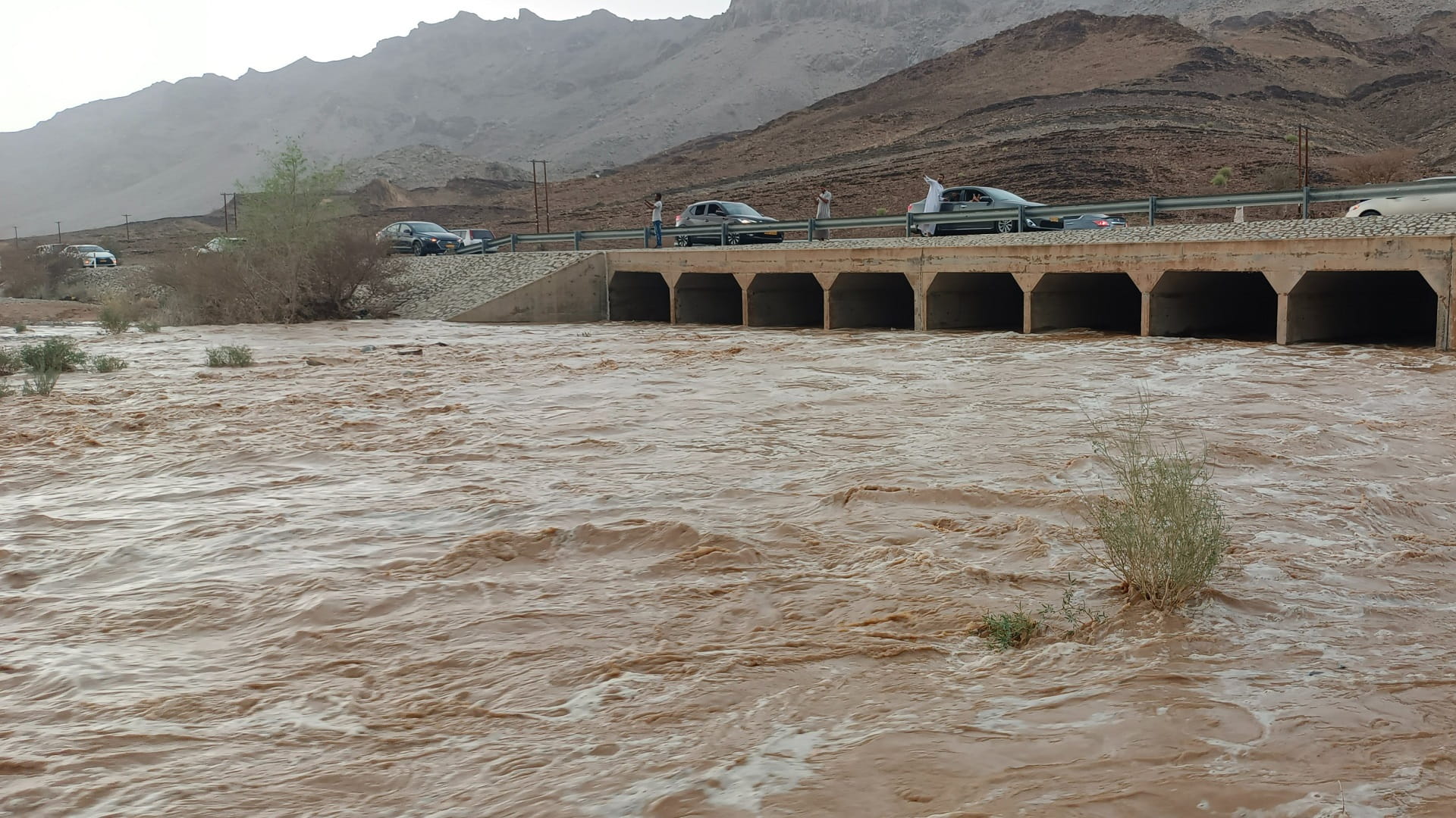 صورة بعنوان: ولايات عُمانية عدة تشهد هطول أمطار غزيرة مصحوبة برياح 