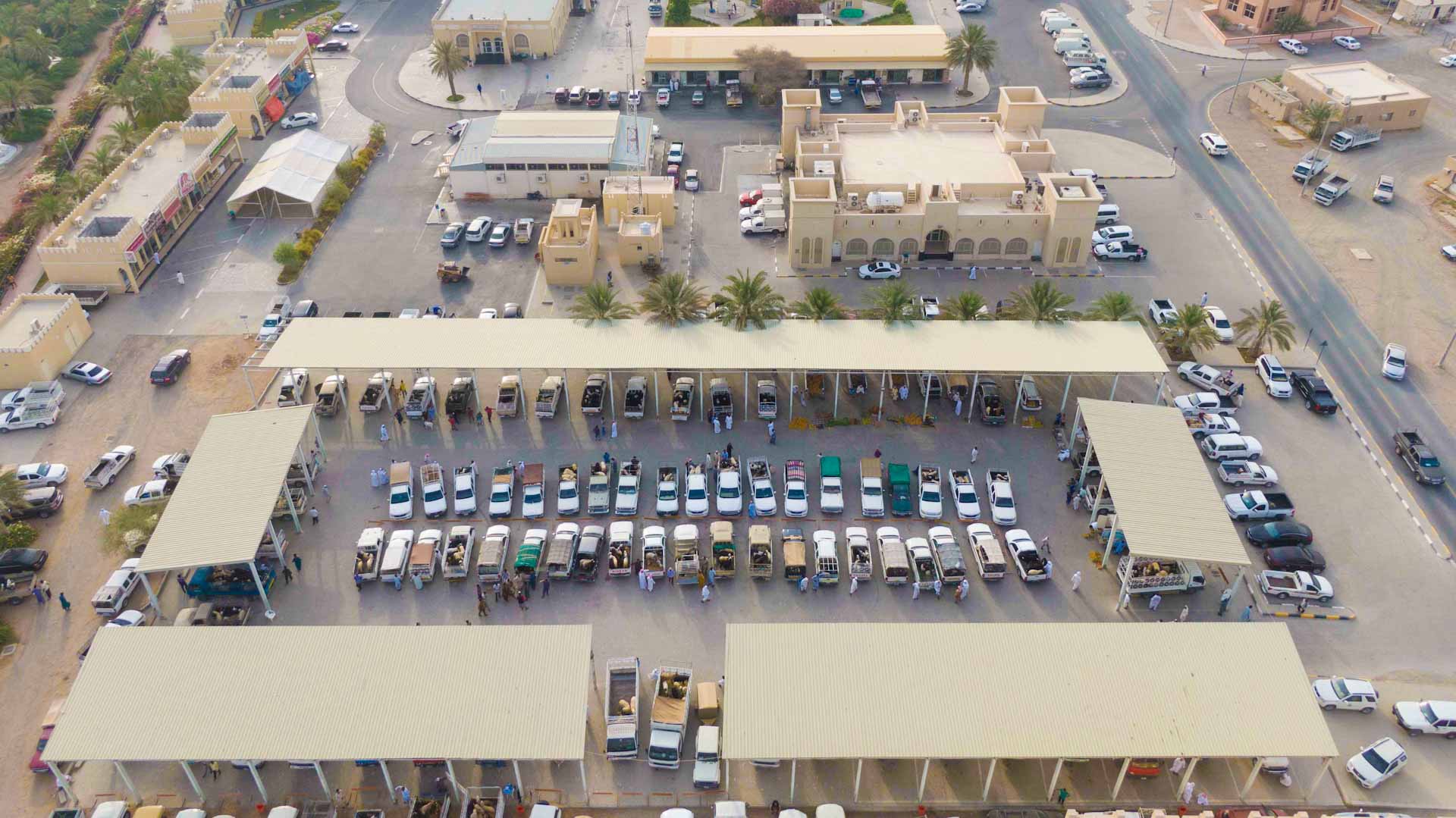 صورة بعنوان: بلدية الذيد تنهي استعداداتها لاستقبال عيد الأضحى المبارك 