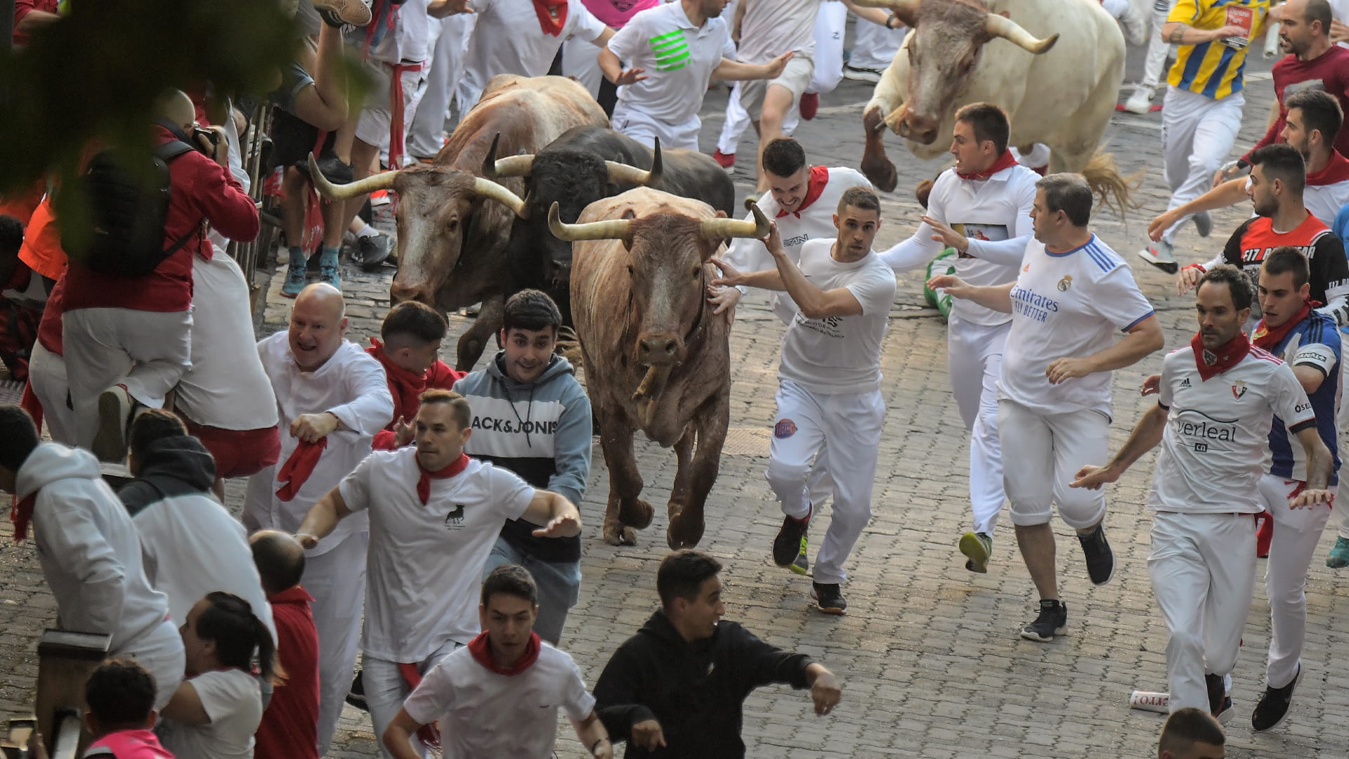 صورة بعنوان: 5 جرحى في أول يوم لإطلاق الثيران ببامبلونا الإسبانية 