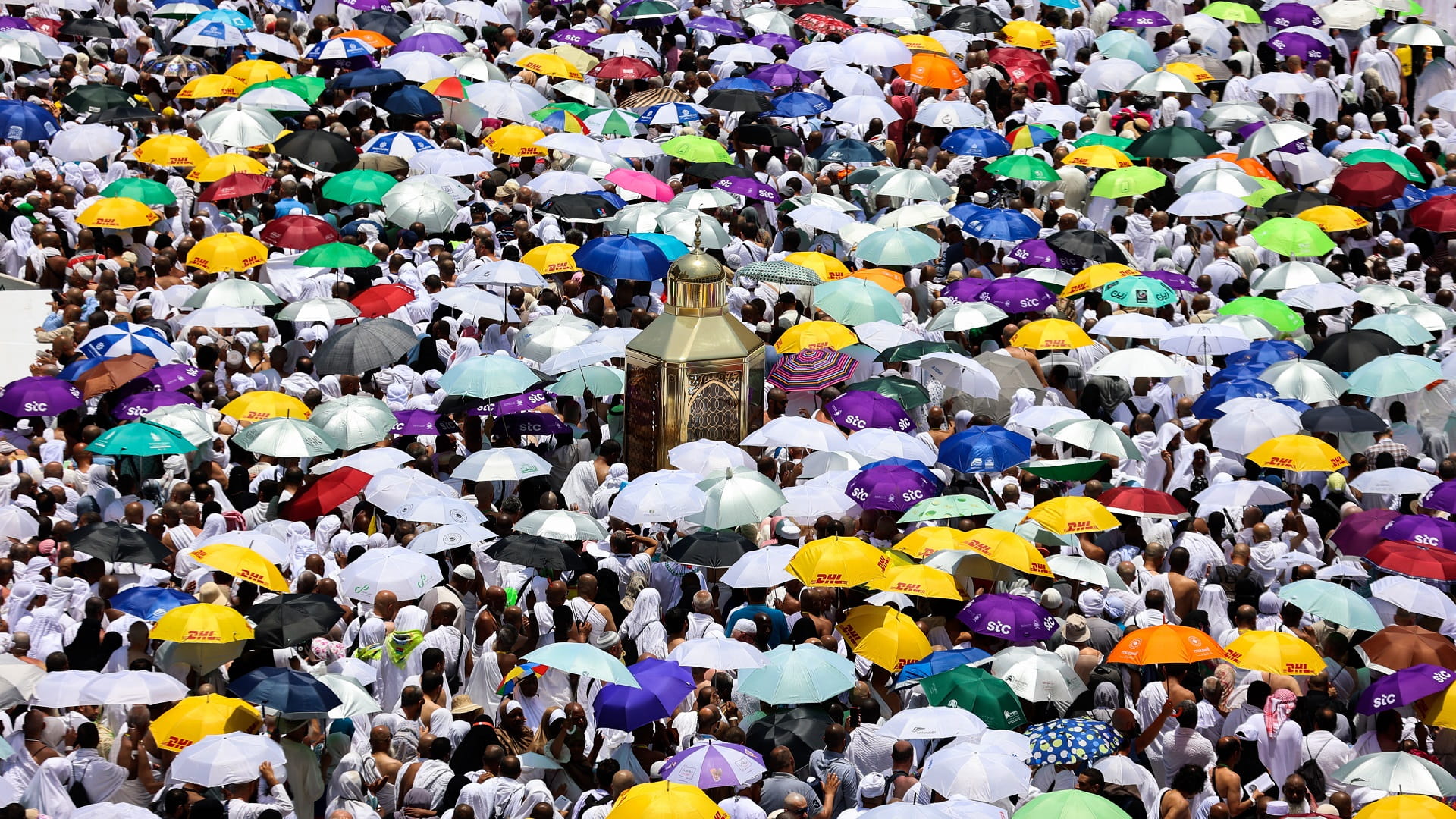 صورة بعنوان: السعودية تعلن نجاح خطط الحج الصحية وخلوه من الأمراض 