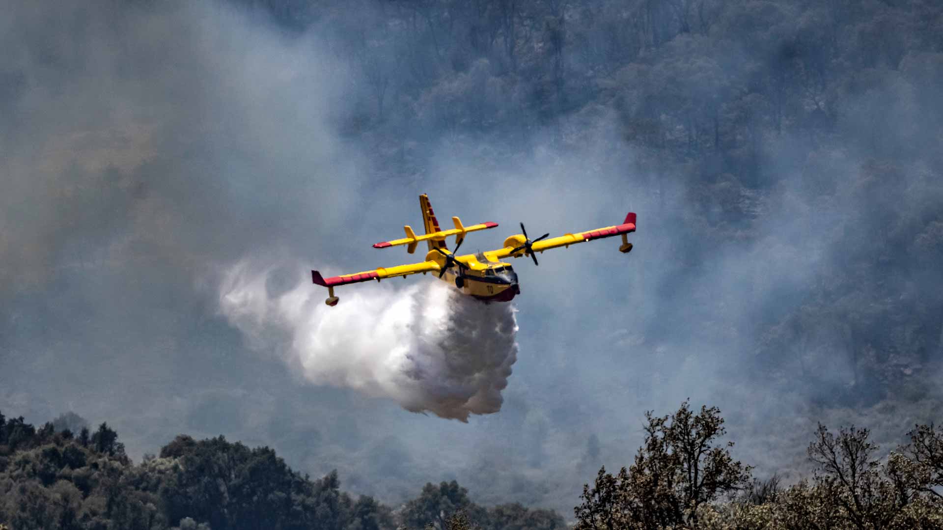 Image for the title: EU to buy forest firefighting planes as climate crises intensify 